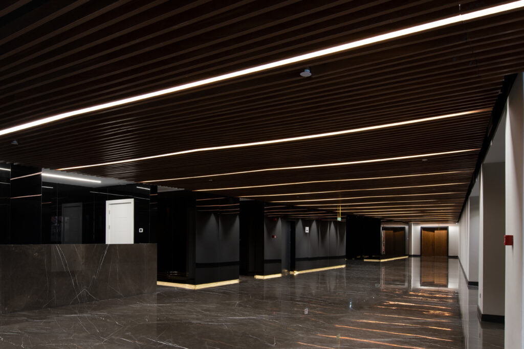 لابی پیدایش